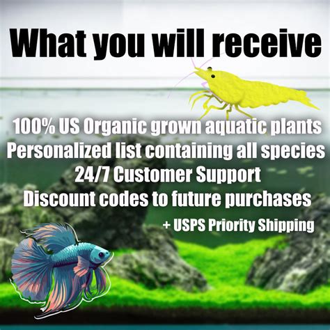Just Saved Betta Fish From Walmart. .
